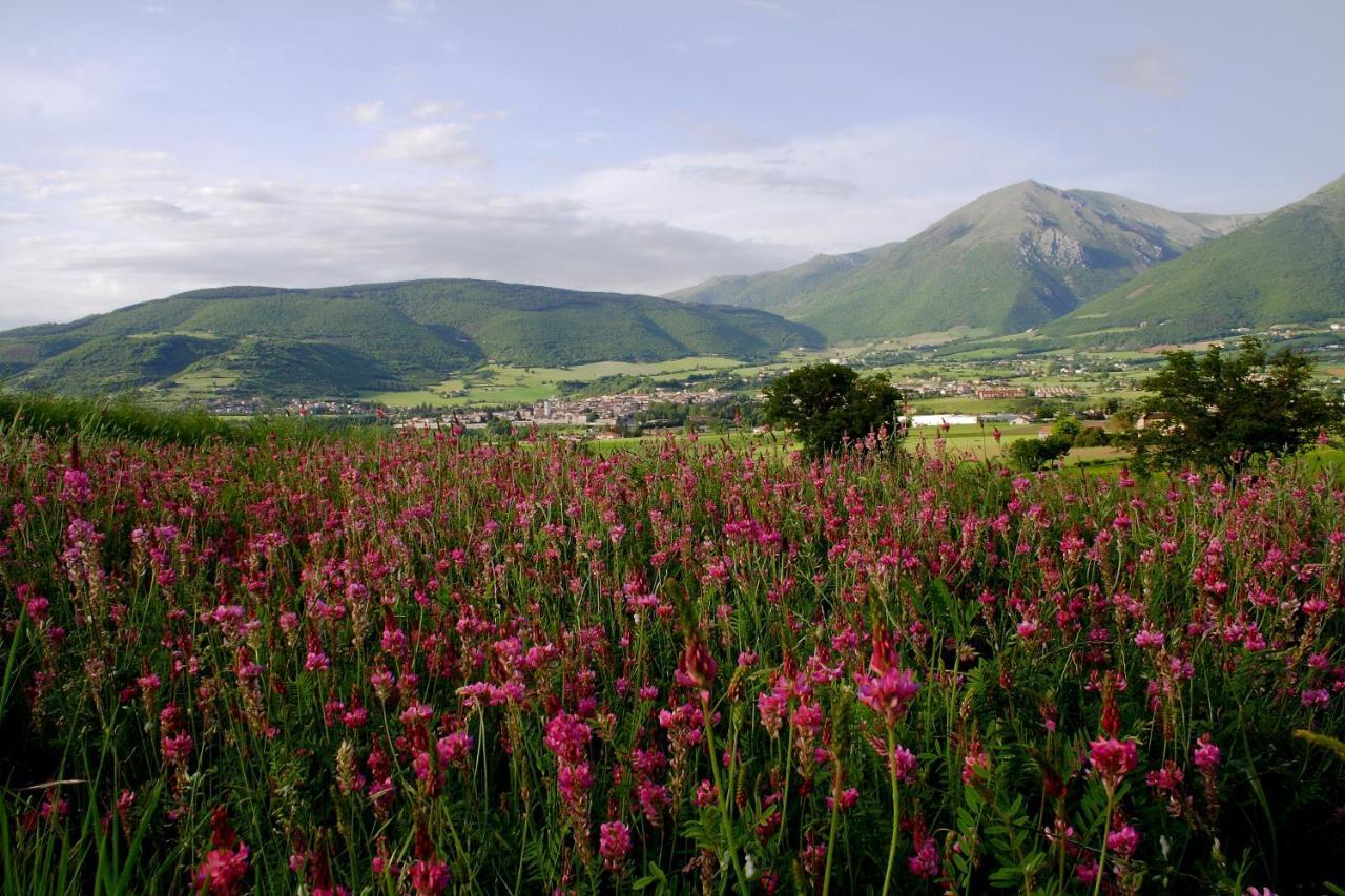 Agriturismo La Cascina Di Opaco Norcia Exterior foto